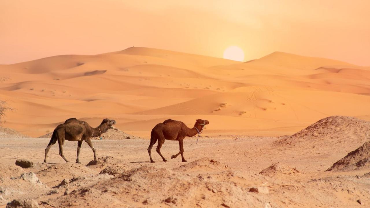 Oasis Luxury Camp Hotel Merzouga Ngoại thất bức ảnh
